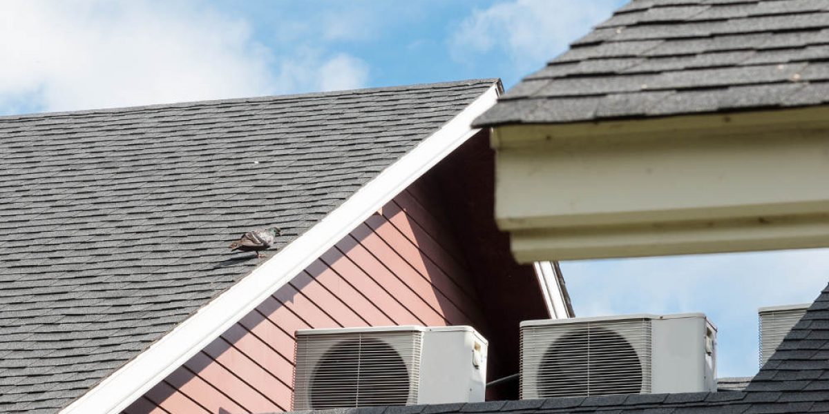 How a Cool Roof Can Save You Money on Energy Bills | Oak Hills Construction